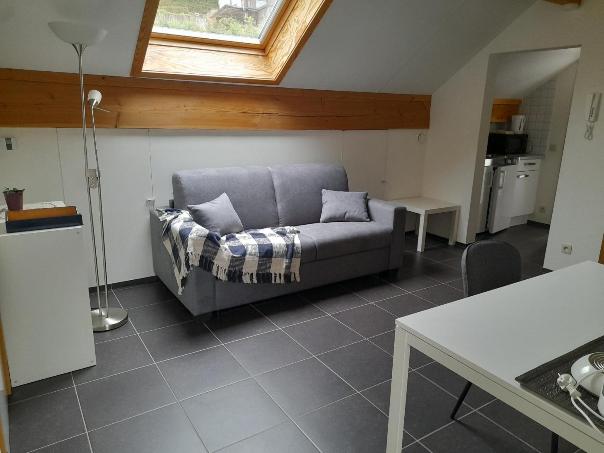 Appartement Meuble De Tourisme A Bouillon Extérieur photo